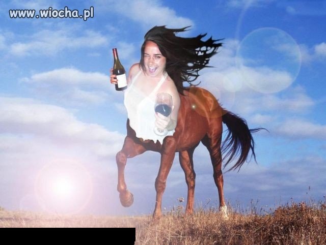 Centaurzyca photoshopa
