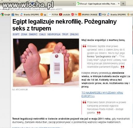 Nie mam pytań 
