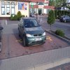 Niepełnosprawny umysłowo