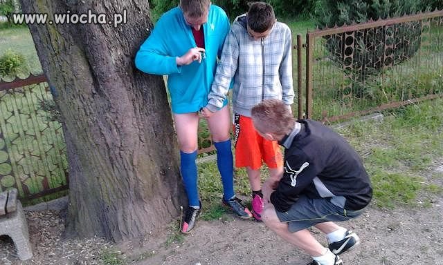 Za czym zagląda?