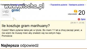 Nie wiem co napisać.
