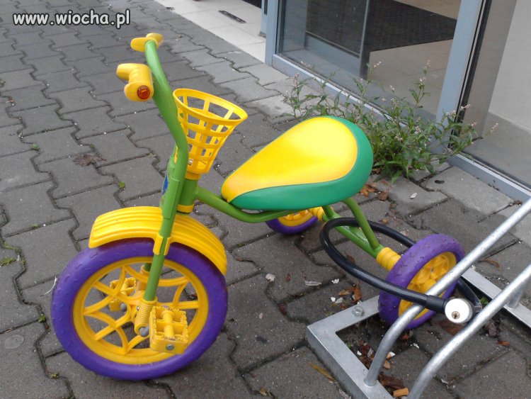 Nie ma mowy, żeby ukradli
