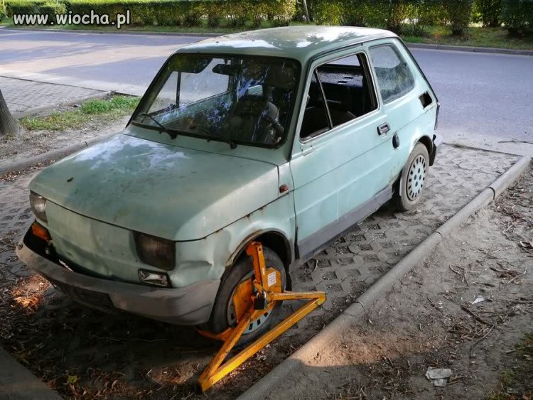 Tak potrafi tylko knurowska straż miejska 