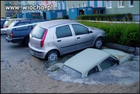 Biedny maluszek nie miał szczęścia