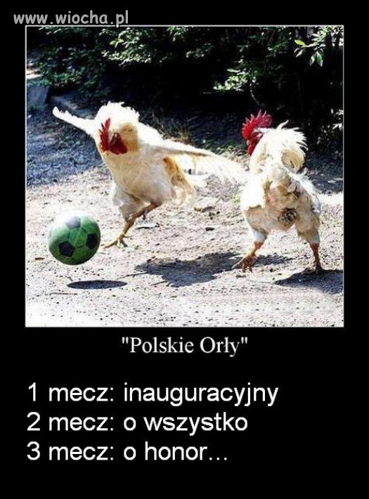 Już w czerwcu... 