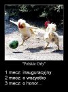 Już w czerwcu... 
