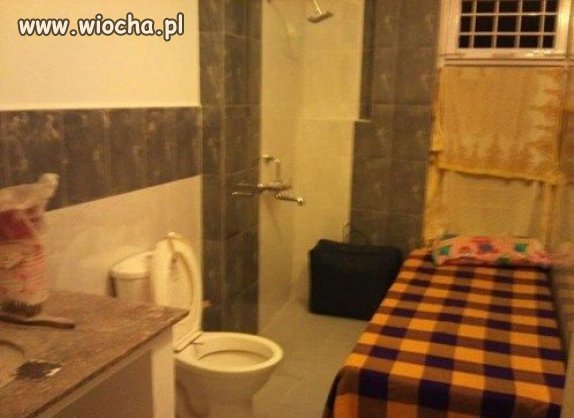 Tanio wynajmę