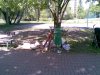 Przy placyku zabaw dla dzieci