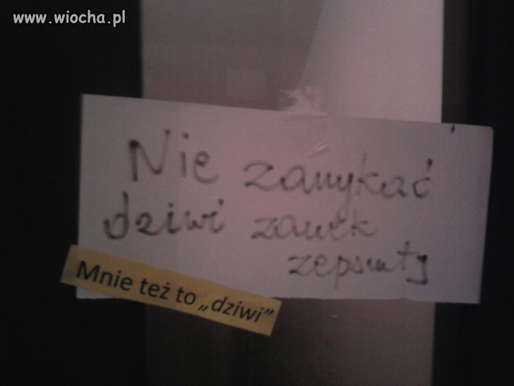 Moi sąsiedzi