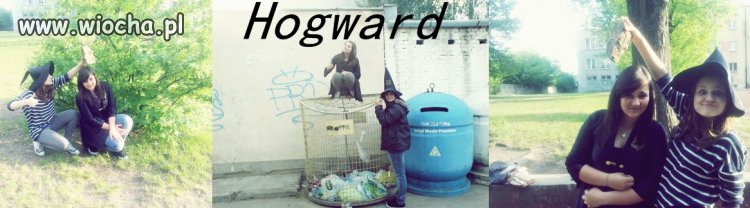 Hogward