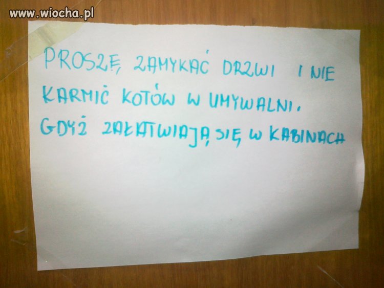 Na budowie...