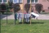 Chamstwo dla Polskich Dzieci?