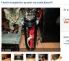 Tłuste? ma na myśli tego kota? 