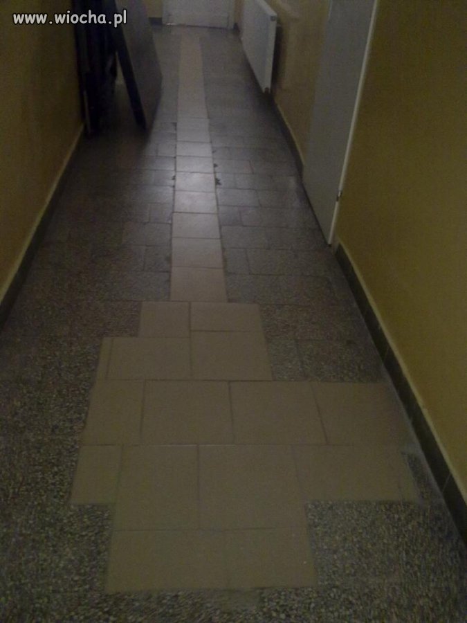 Jak Wiesiek ułoży płytki