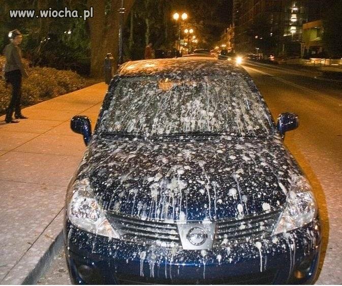 Nigdy nie parkuj pod drzewami 