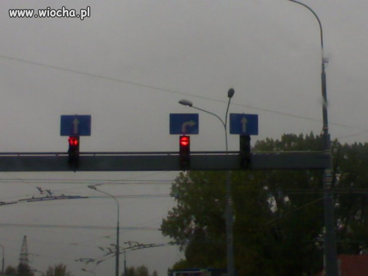 Polskie znaki drogowe