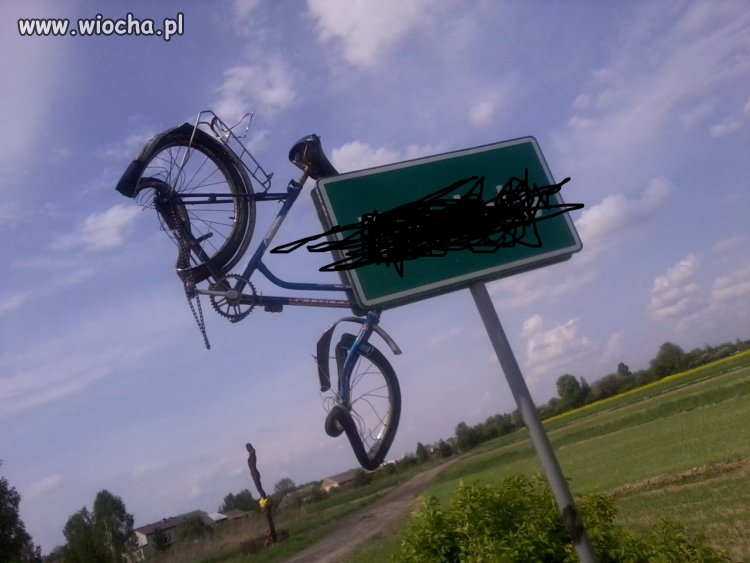 Pomysłowość polskiej młodzieży