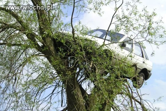 Nie mam pojęcia jak ktoś to zrobił...