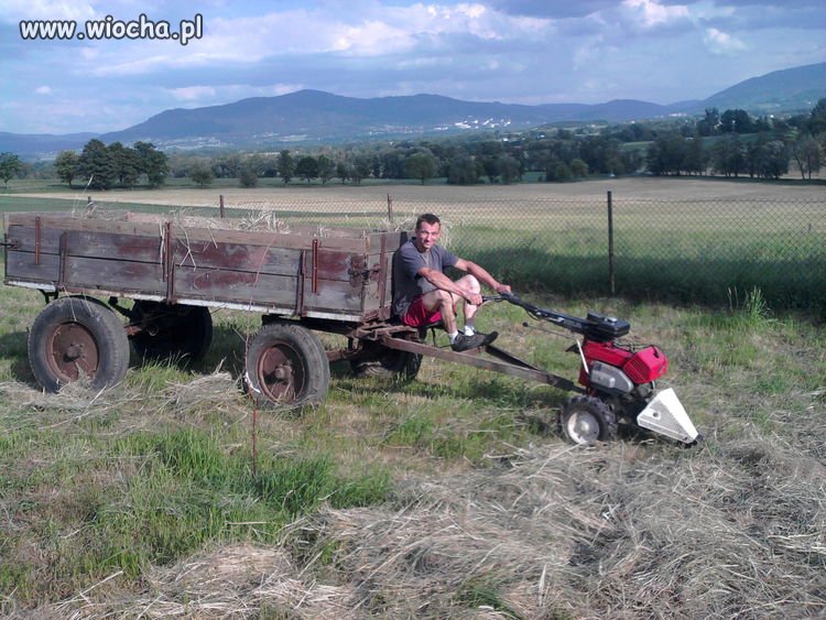 Co to jest??