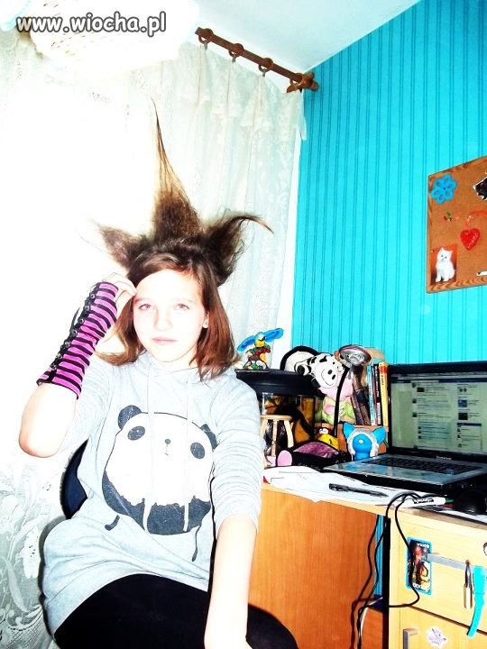 Opis zdjęcia; a taka tam fryzurka