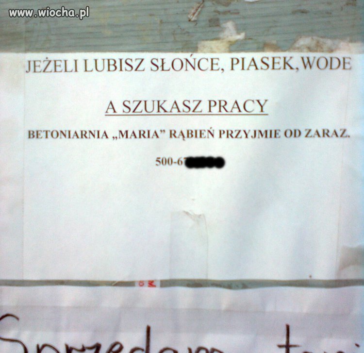 Turystyczne Last Minute ...
