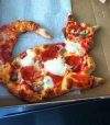Był ogolony przez M