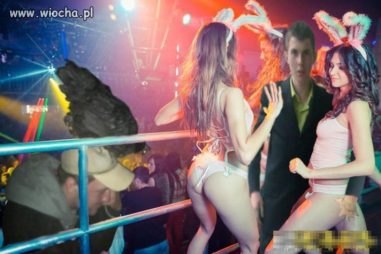 Mistrz fotoszopa