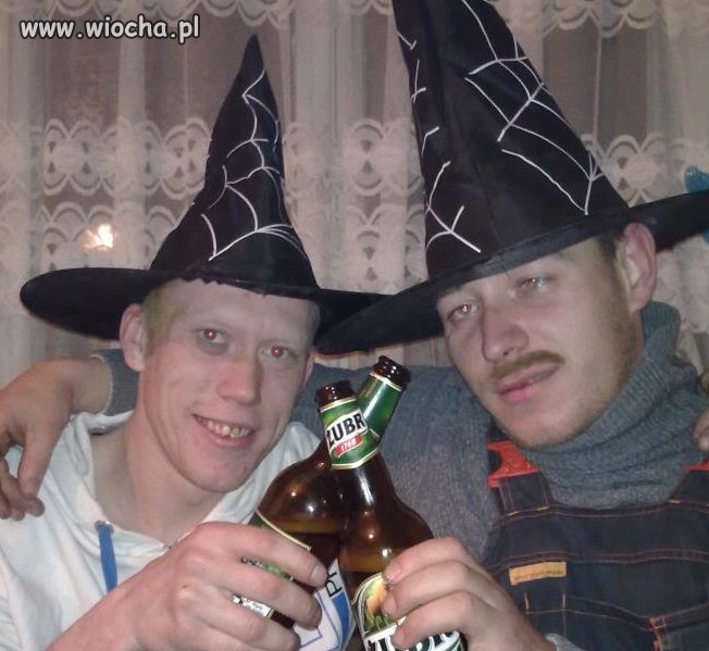 Magią i żubrem