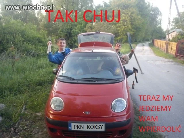 Mafia wiejska w gangsta-furze