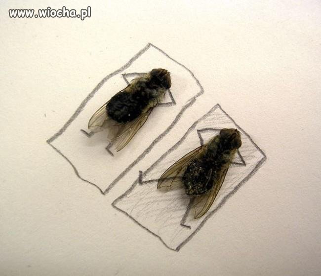 WAKACJE 2012!!