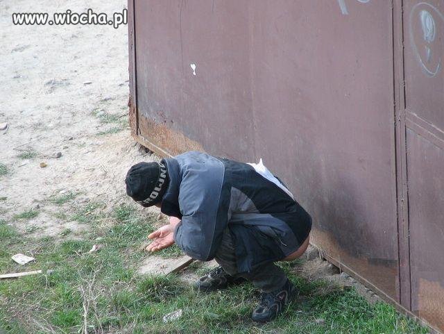 Brak papieru?
