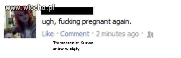 Kur*wa znów w ciąży