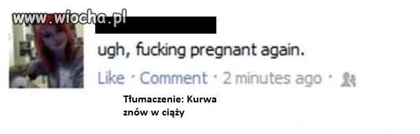 Kur*wa znów w ciąży