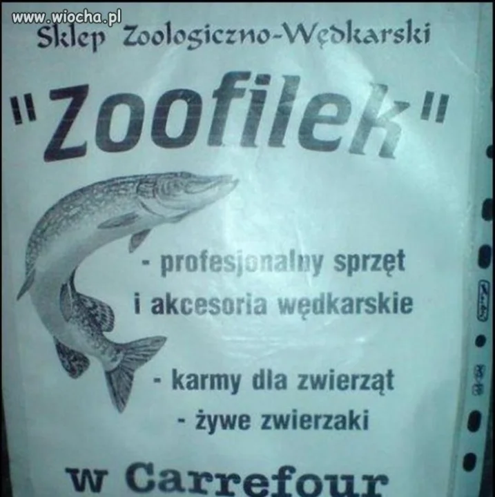 Sklep "Zoofilek" to wiocha