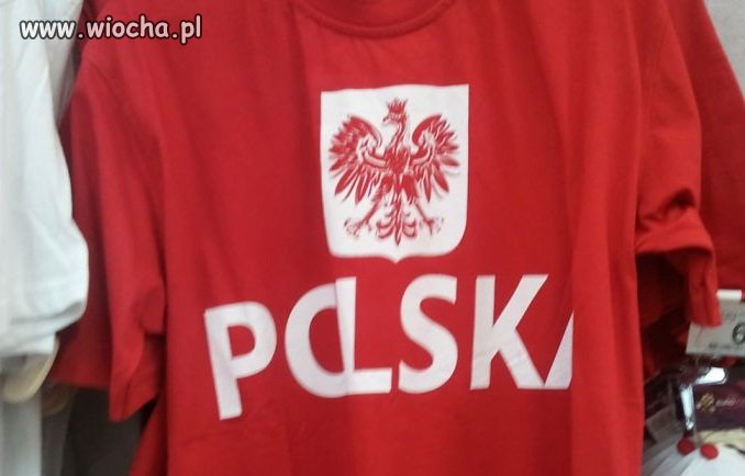 Czerwony orzeł an białym tle 