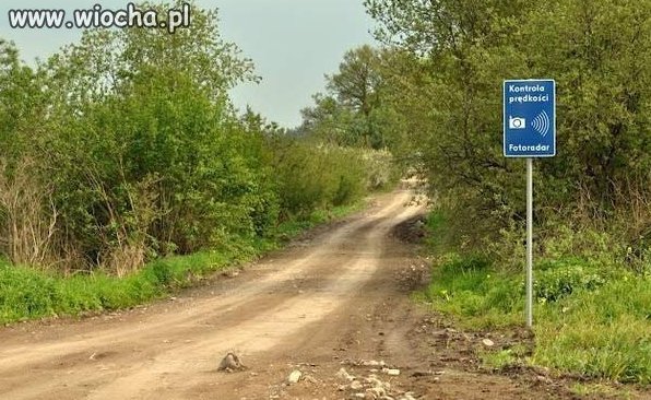 Tylko niech kol nie pogubi 