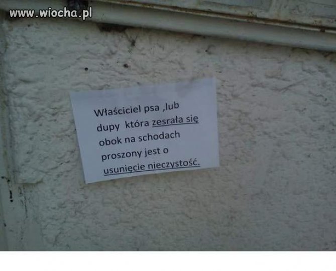 Polak to potrafi!