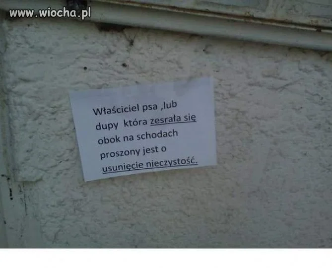 Polak to potrafi!