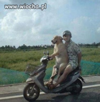 Hahaha i co wy na to
