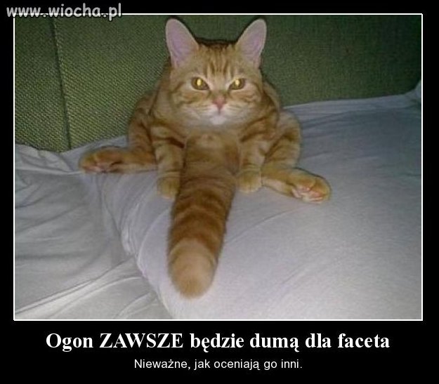 Ten wie co dobre