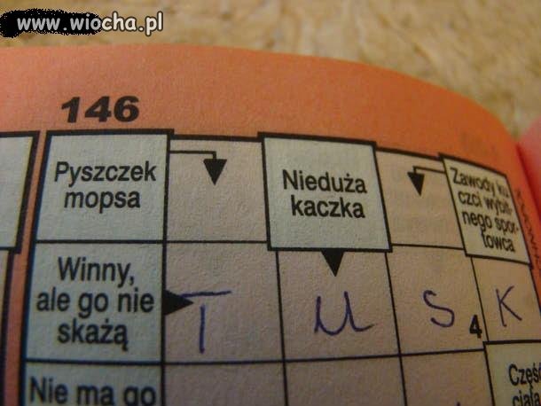 Hasło dnia