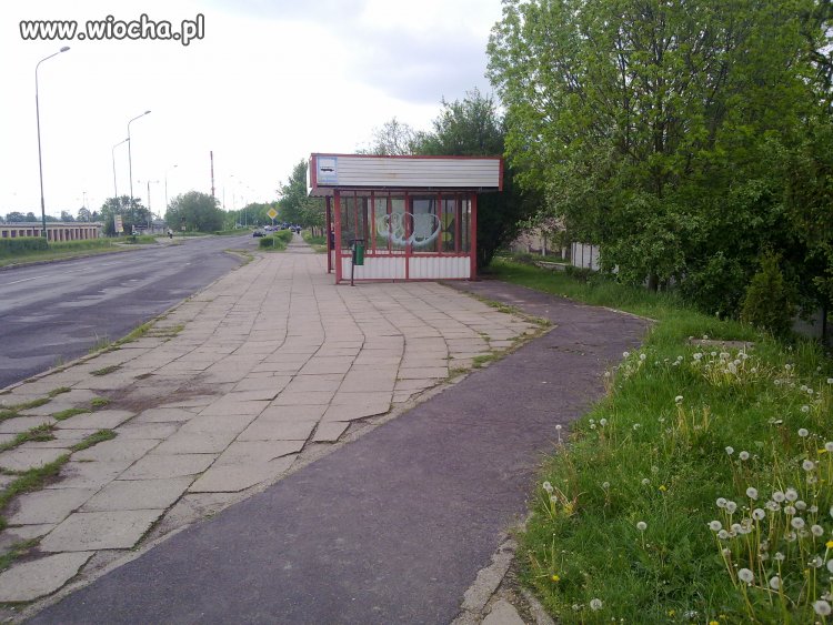 Nie ma to jak ścieżka rowerowa...