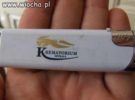 Z prochu powstałeś w proch się obrócisz 