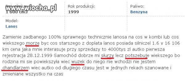 Poprawna polszczyzna i interpunkcja