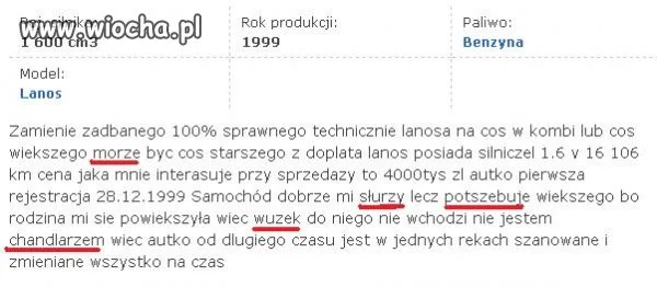 Poprawna polszczyzna i interpunkcja