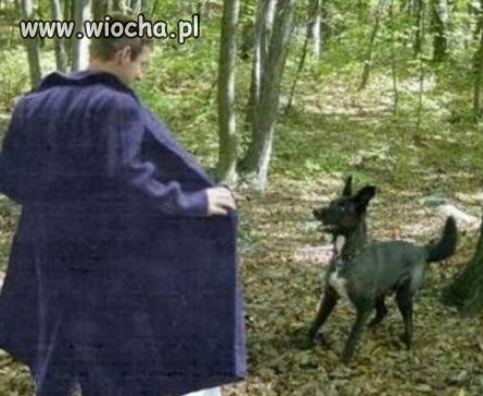 Szczyt desperacji został osiągnięty.