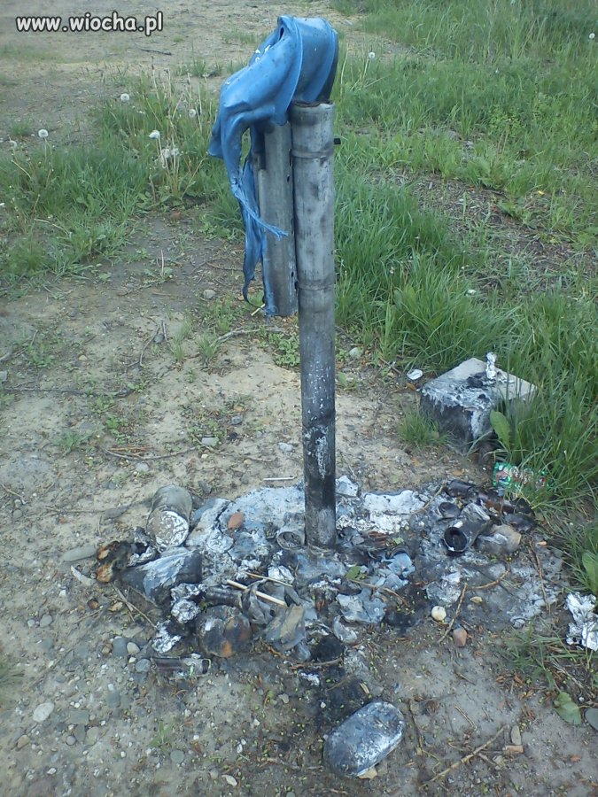 Oto jak wygląda polski kosz na śmieci