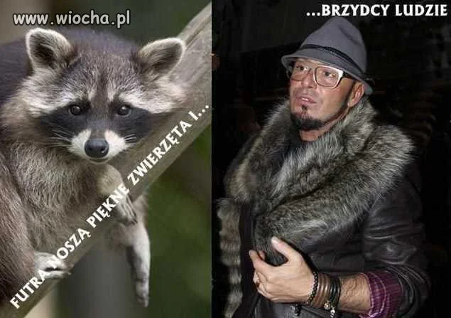 Już widze wpisy wieśniaków