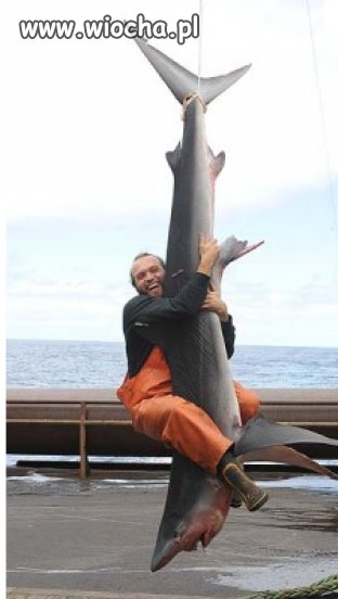 Shark, czyżby jakiś MasterOfBukkake Cię dopadł?