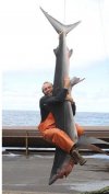 Shark, czyżby jakiś MasterOfBukkake Cię dopadł?